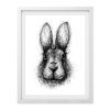 bf scribble rabbit