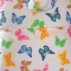Butterfly Pocket cushion Back